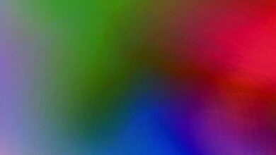 Photo of Секреты успешного сочетания цветов