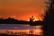 Photo of Как создать элегантный вечерний образ