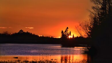 Photo of Как создать элегантный вечерний образ
